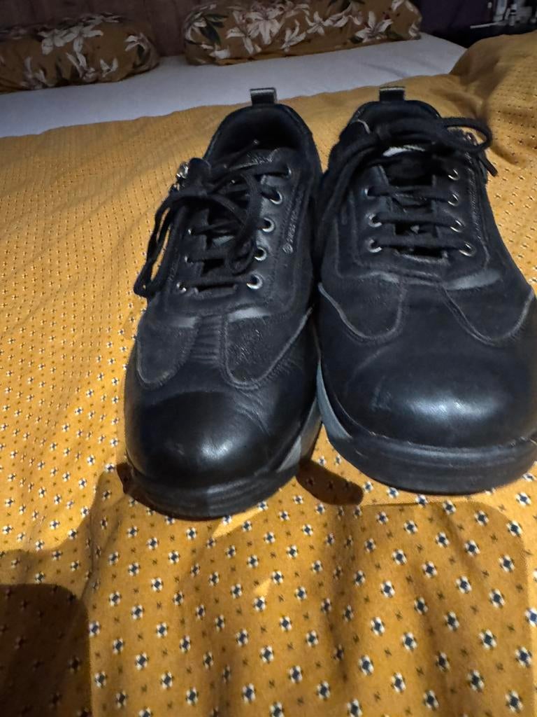 Zgan Joya laura sneacker maat 41 zwart, Kleding | Dames, Schoenen, Ophalen of Verzenden, Zo goed als nieuw, Zwart, Sneakers of Gympen