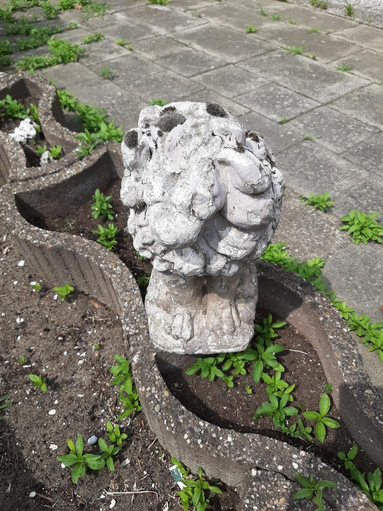 Vintage Tuinbeeld Leeuw - Decoratieve Leeuwenkop, Tuin en Terras, Ophalen, Gebruikt, Beton, Dierenbeeld