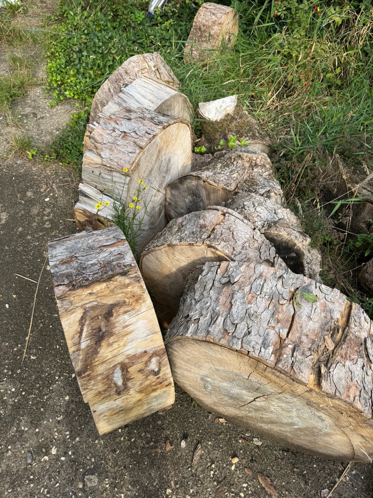 Gratis Hout - weg is weg - gedroogd, Ophalen, Zo goed als nieuw, Bruin, Overige typen