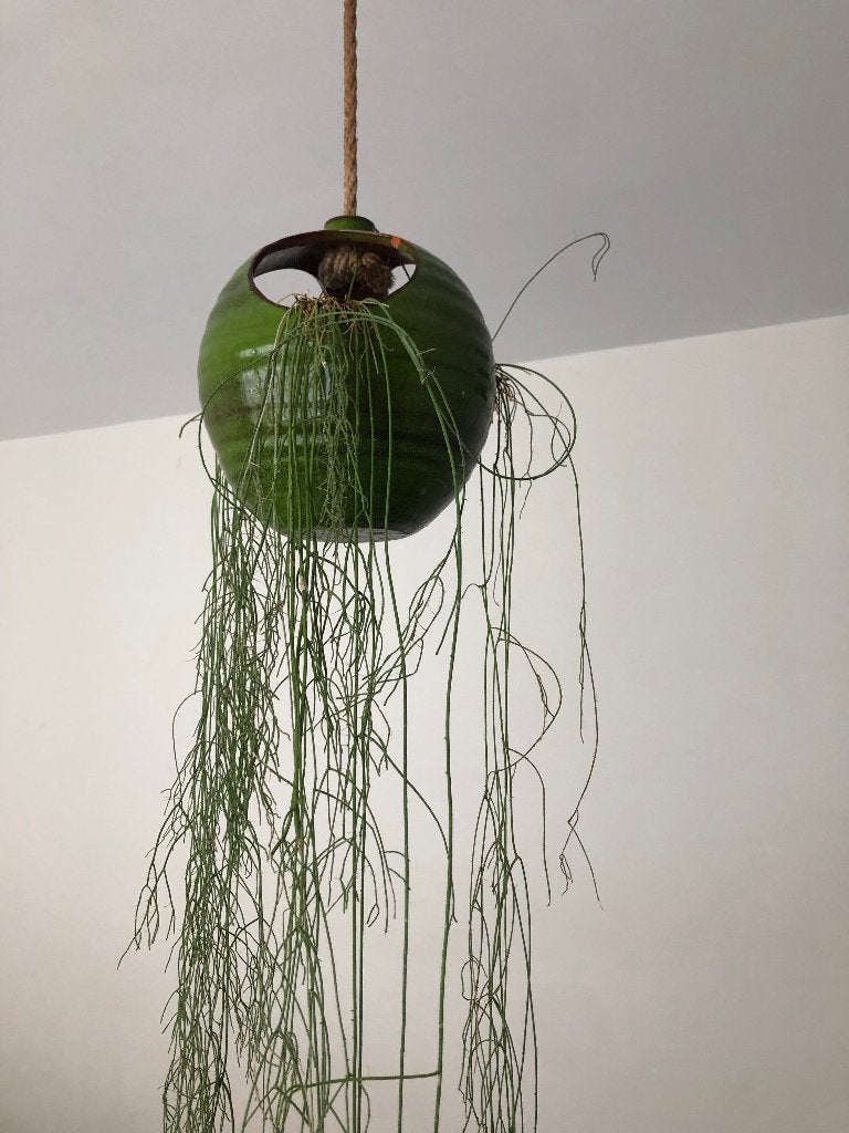 Plantenhanger keramiek keramobile retro rhipsalis, Gebruikt, Rond, Binnen, Ophalen of Verzenden