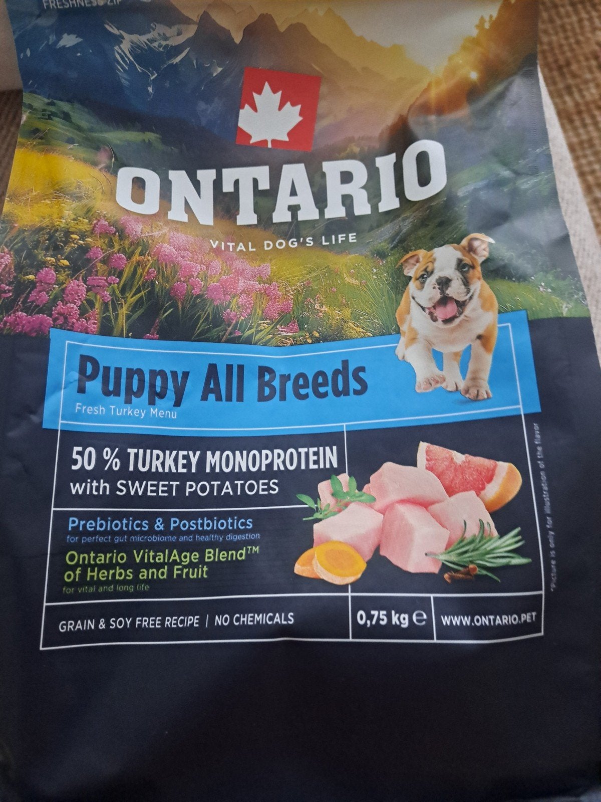 ontario puppy brokken, Ophalen, Hond