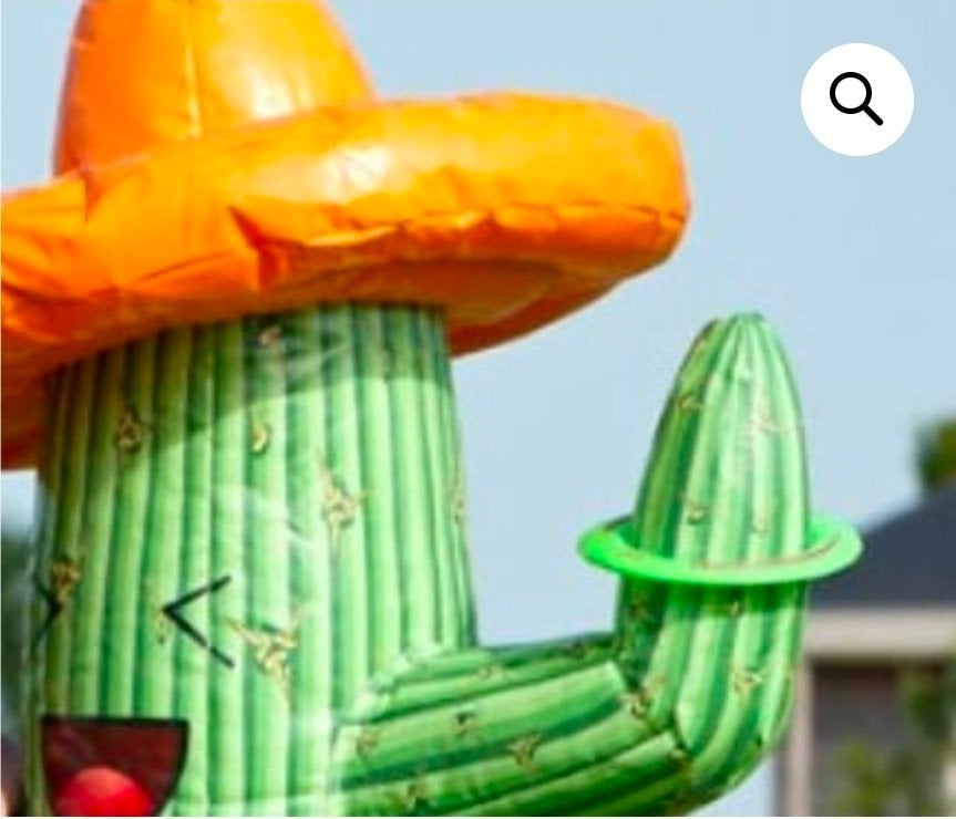 opblaasbaar ringgooispel cactus, Ophalen of Verzenden