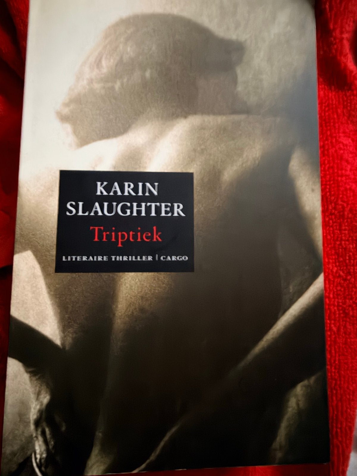 Karin Slaughter - Triptiek (Literair Thriller), Ophalen of Verzenden, Nieuw, Nederland