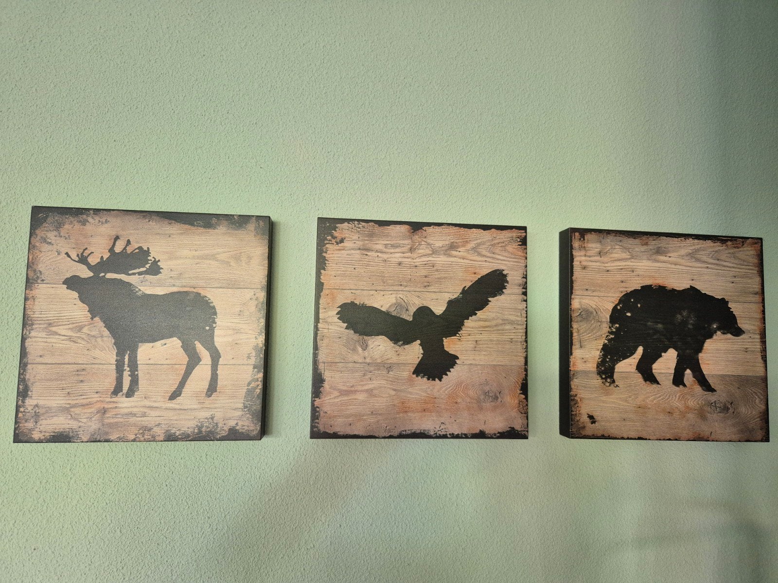 Set van 3 afbeeldingen 25x25cm - Houtlook met dieren, Ophalen, Minder dan 50 cm, 5 – 50, Print