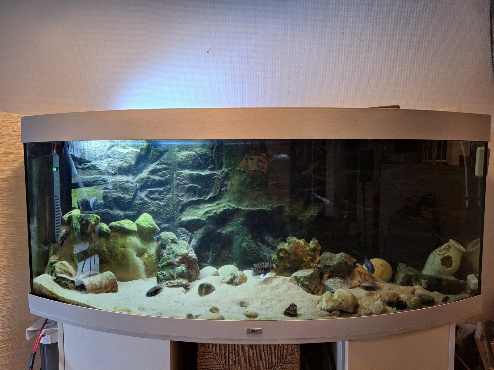 Juwel panorama aquarium compleet met uitgebreide filters, Ophalen, Pomp, Gevuld zoetwateraquarium, Juwel