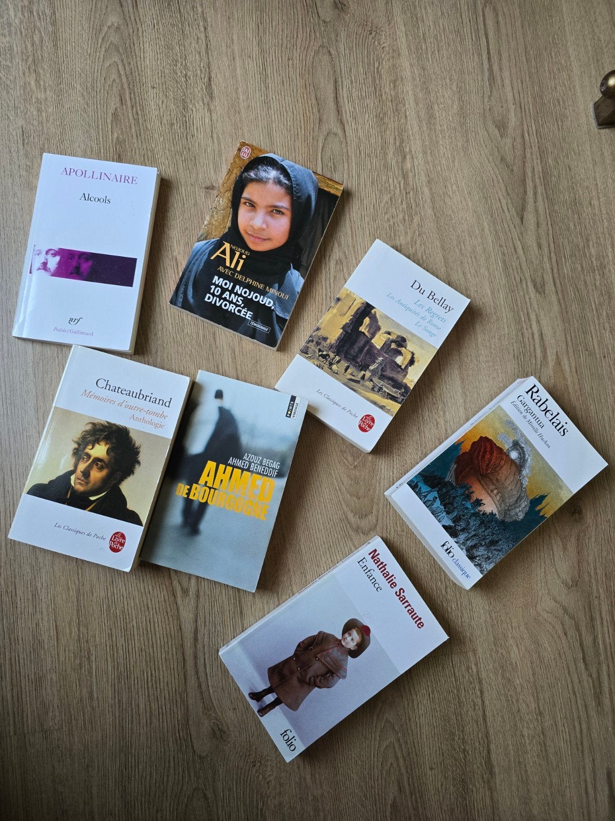 GRATIS: Pakket Franse boeken / Literatuur (o.a. Folio, Livre, Ophalen, Zo goed als nieuw, Europa overig