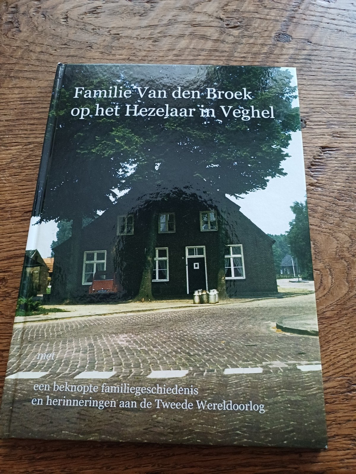 Familie Van den Broek op het Hezelaar in Veghel, Ophalen of Verzenden