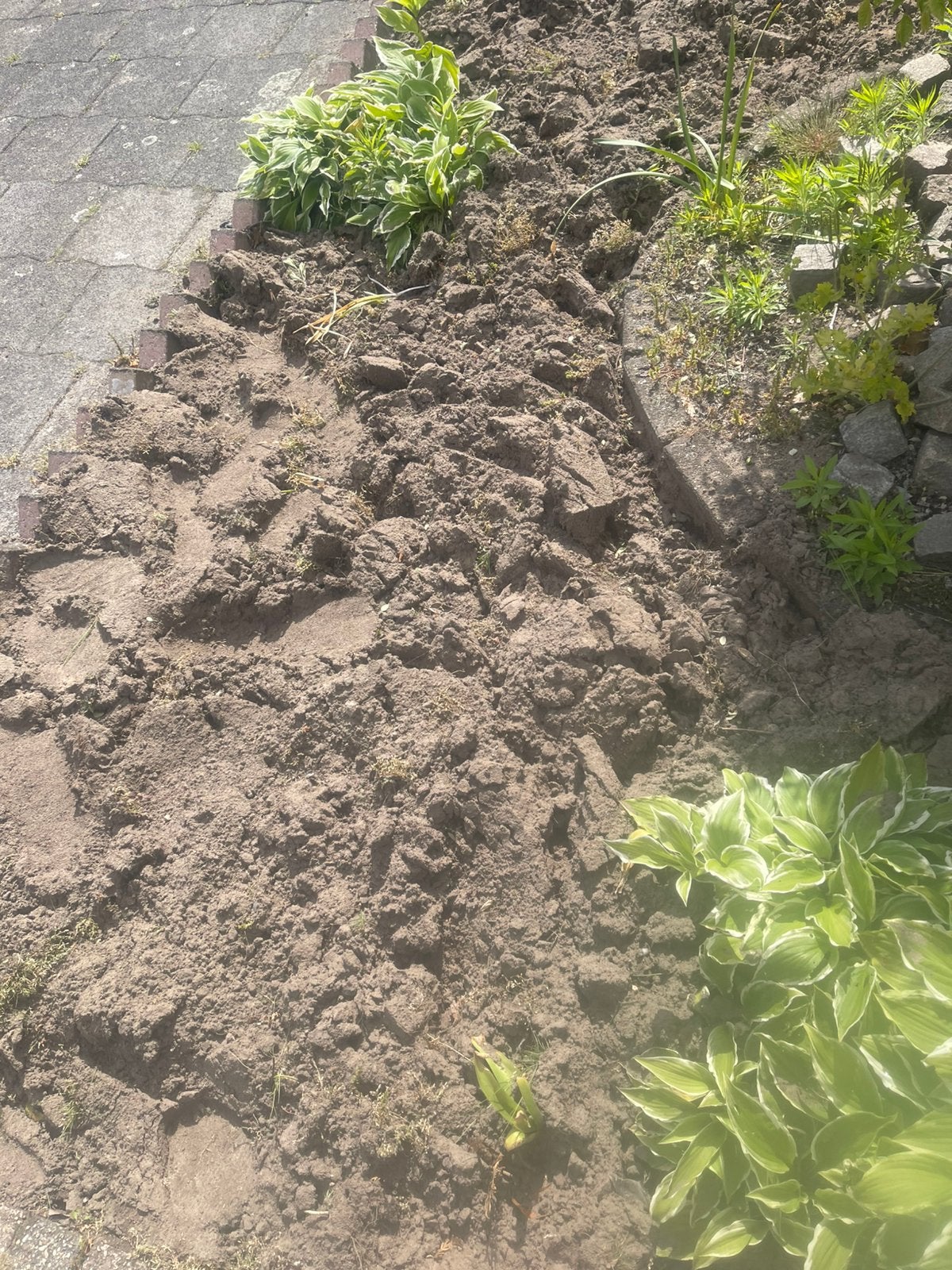 Gratis Zwarte zand, Ophalen of Verzenden, Tuinaarde