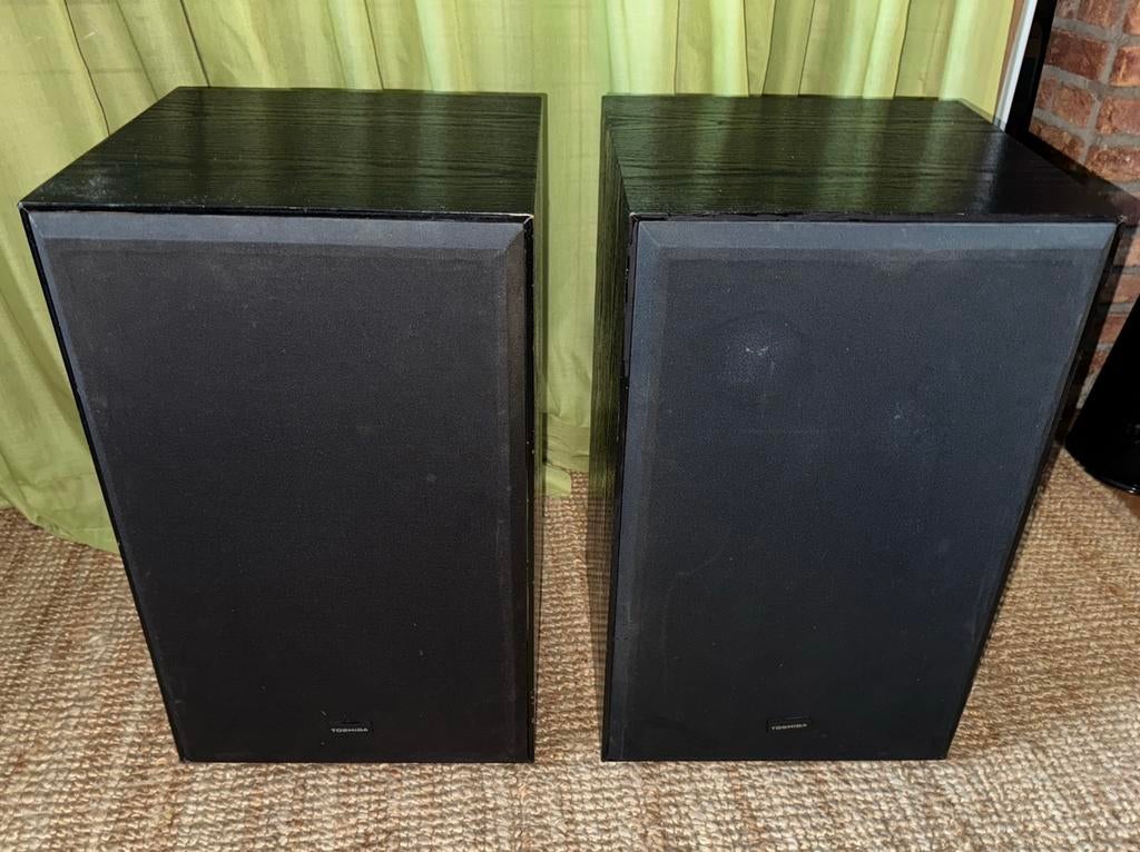 Toshiba SS330, gemodificeerd, Audio, Tv en Foto, Luidsprekers, Gebruikt, 60 tot 120 watt, Front, Rear of Stereo speakers, Ophalen