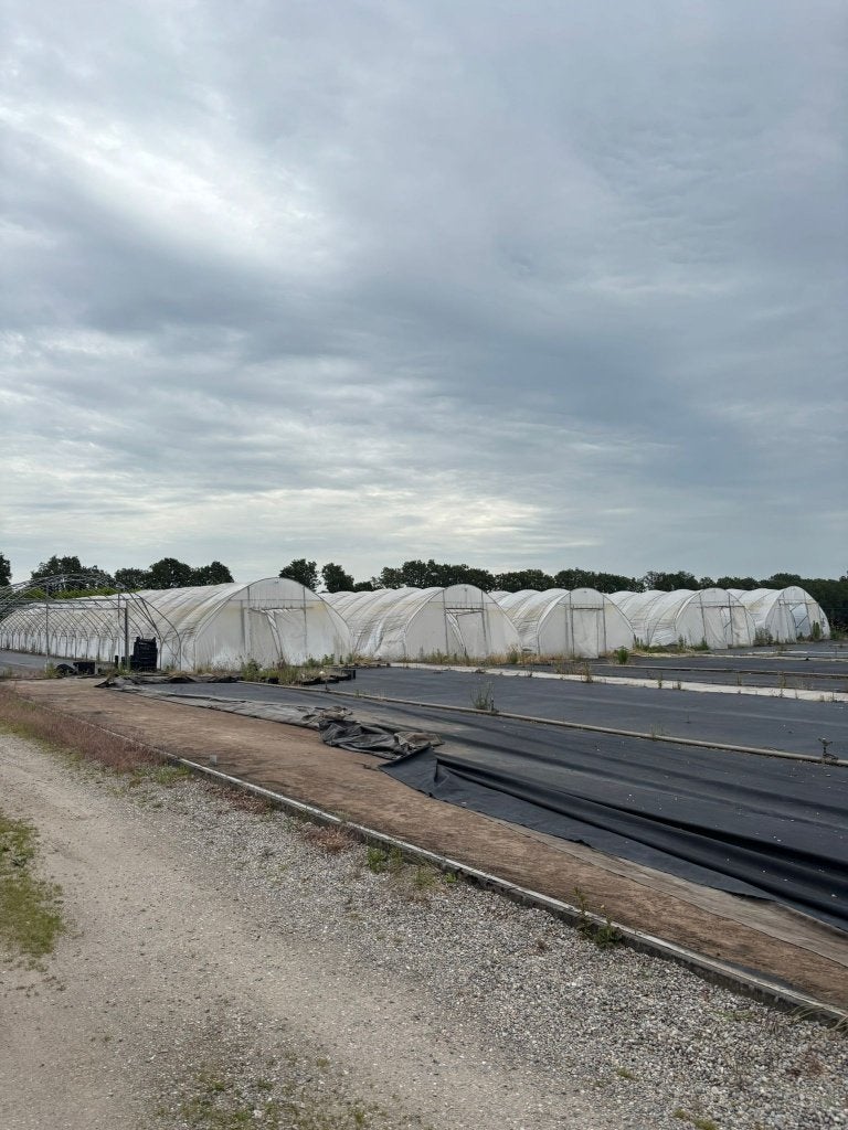 Tunnels / kassen, Tuin en Terras, Kassen, Gebruikt, Folie, Kweekkas, Ophalen