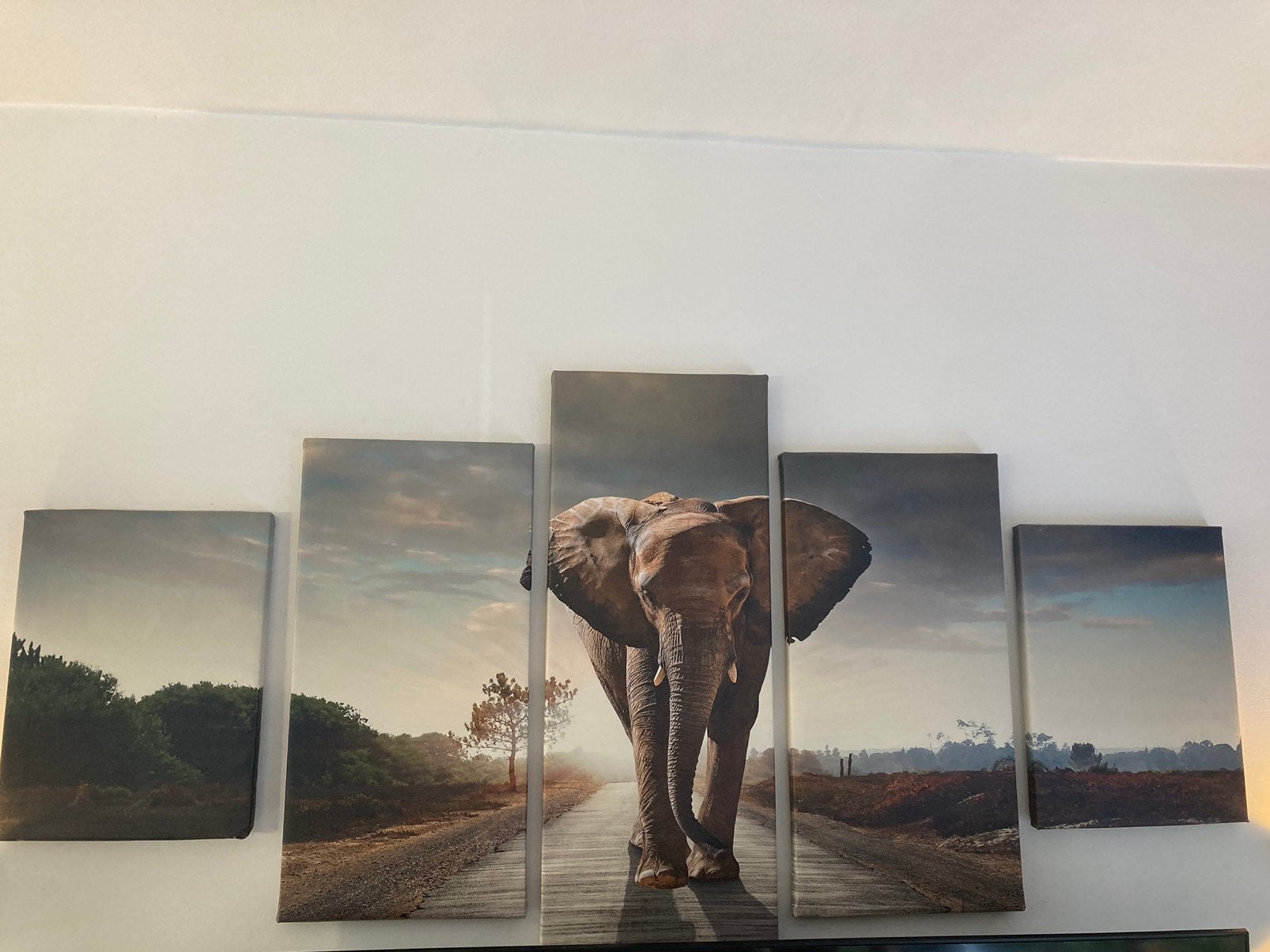 Dieren afbeelding: Olifant 5-luik, Ophalen, Op houten frame, Dieren