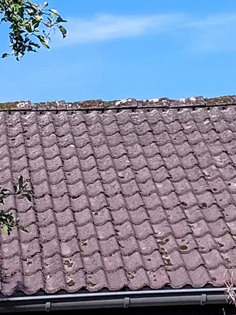Gebruikte dakpannen - ideaal voor schuur of bijgebouw, Ophalen, Steen of Klei, Dakpannen, Rood