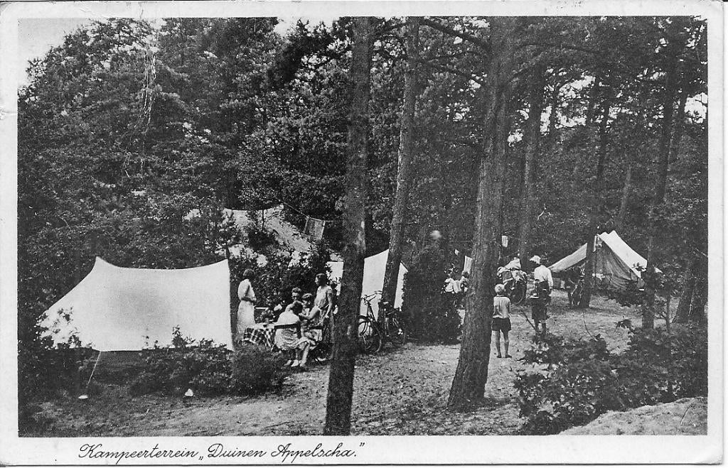 Kampeerterrein Duinen Apelscha., Ophalen of Verzenden, 1960 tot 1980, Gelopen, Friesland