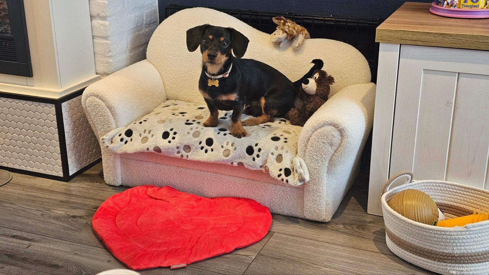 Sofa voor honden, Ophalen, Zo goed als nieuw
