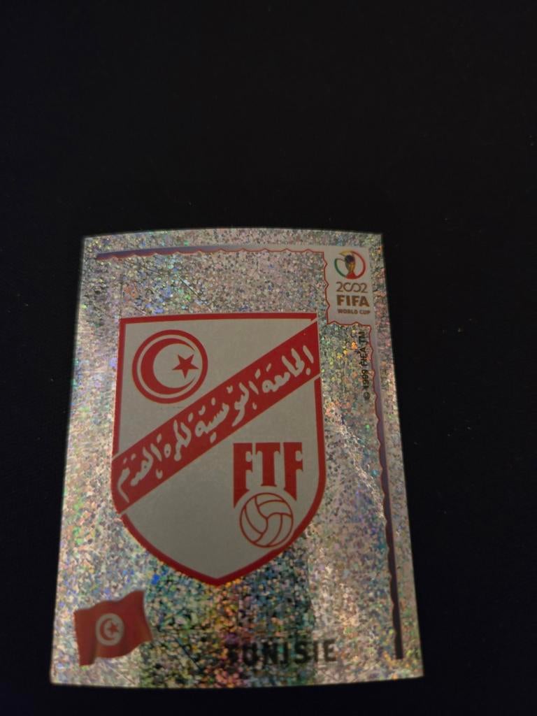 Panini Fifa world cup 2002, Ophalen of Verzenden, Zo goed als nieuw, Buitenlandse clubs, Poster, Plaatje of Sticker