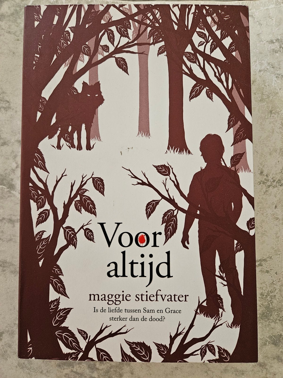Maggie Stiefvater - Voor altijd, Ophalen of Verzenden, Zo goed als nieuw, Maggie Stiefvater