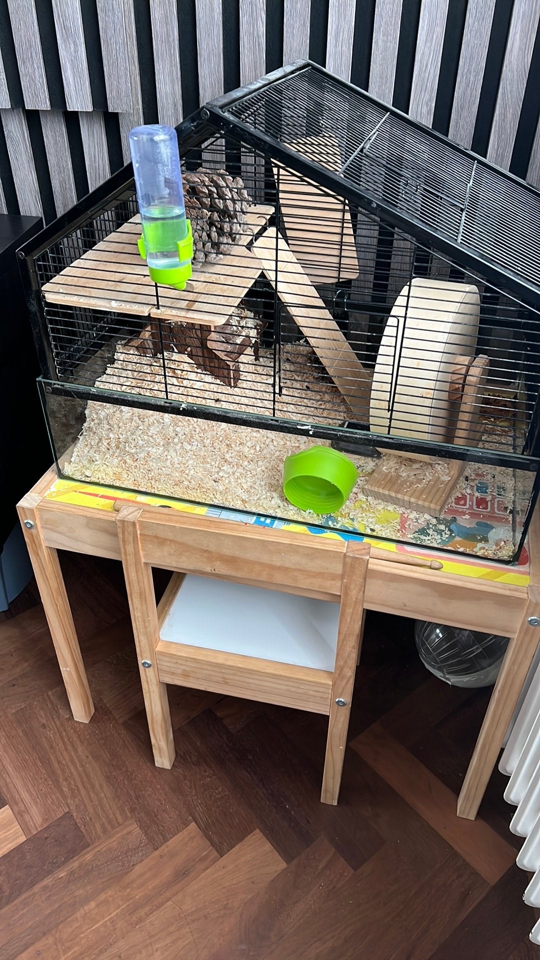 Hamster inclusief alle toebehoren, Kooi, Minder dan 75 cm, Zo goed als nieuw, Hamster
