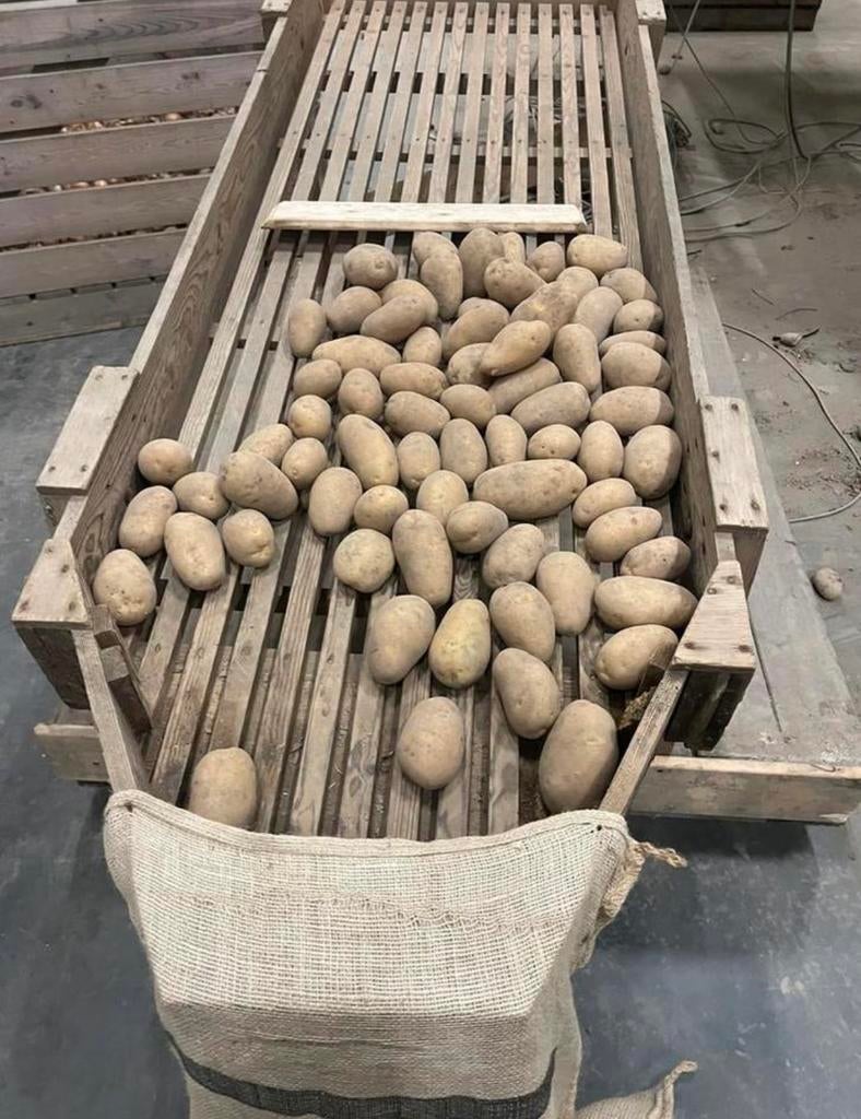 Frieslander aardappelen, Ophalen