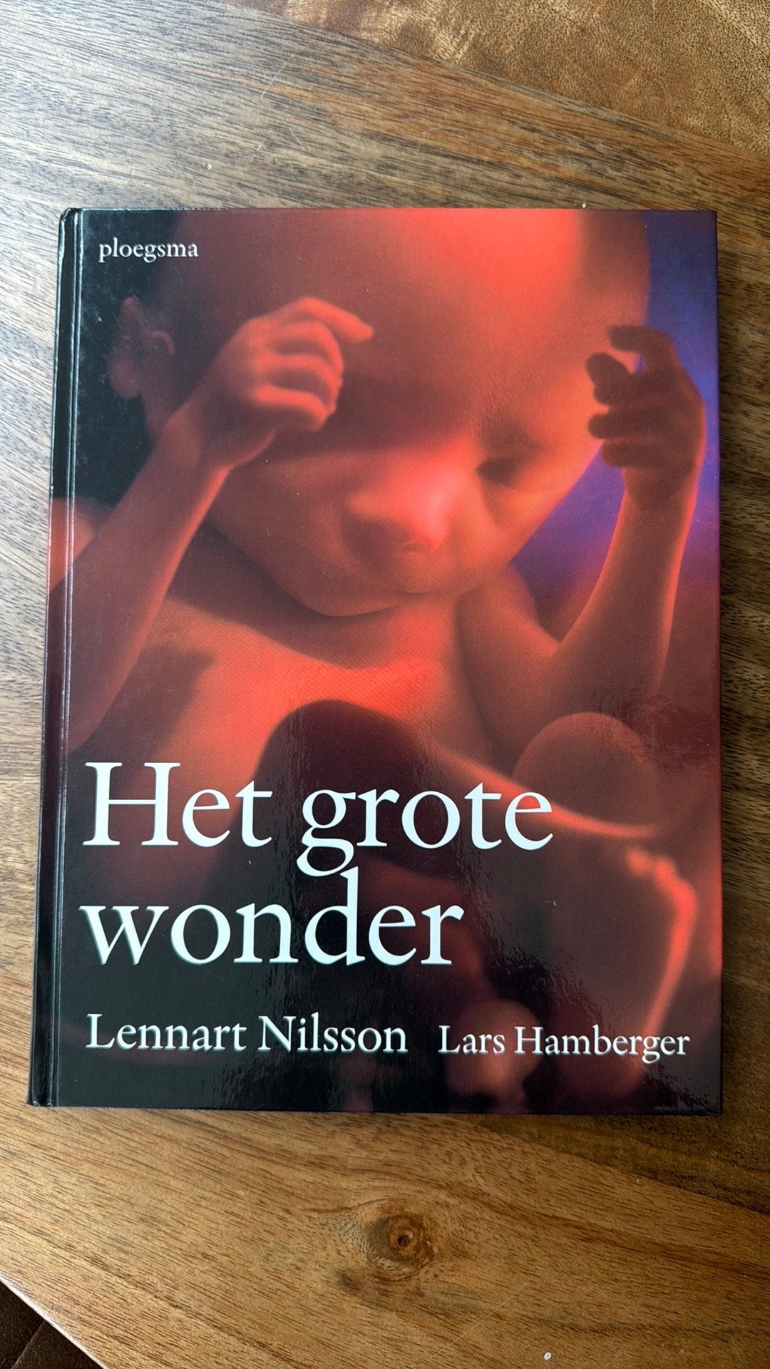 Lars Hamberger - Het grote wonder, Boeken, Zwangerschap en Opvoeding, Zwangerschap en Bevalling, Ophalen of Verzenden, Zo goed als nieuw