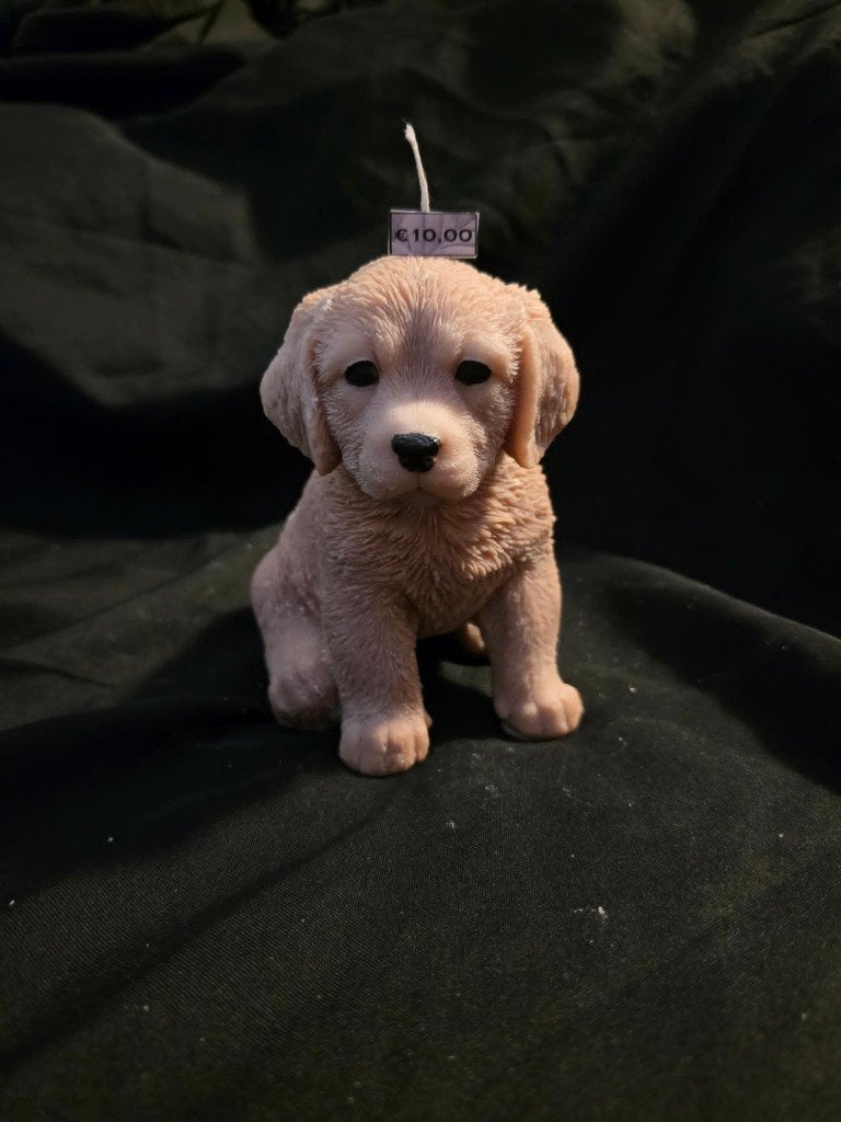 Sierkaars Golden Retriever Pup, Ophalen of Verzenden, Nieuw, Dier