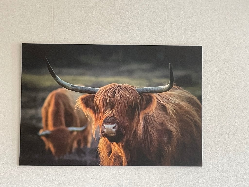 Schilderij, Ophalen, Overige stijlen, Doek, Dieren