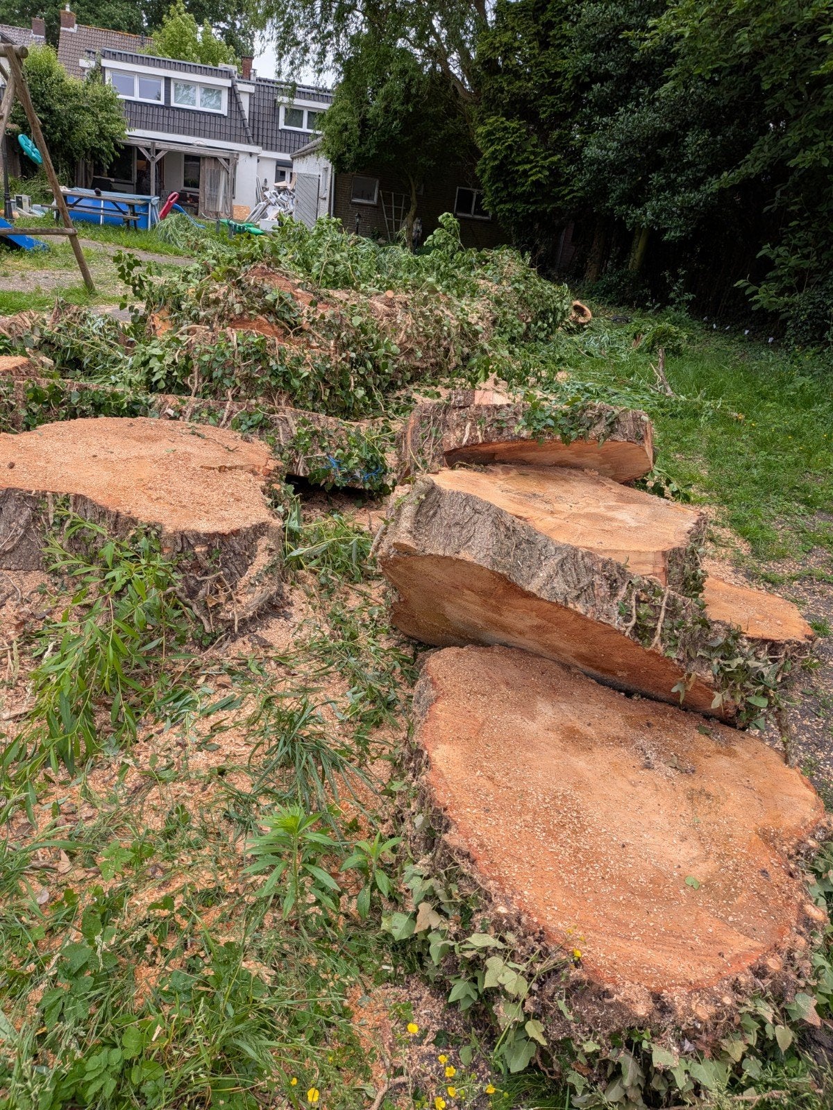 Gratis (haart)hout boomstammen - zelf ophalen, Ophalen