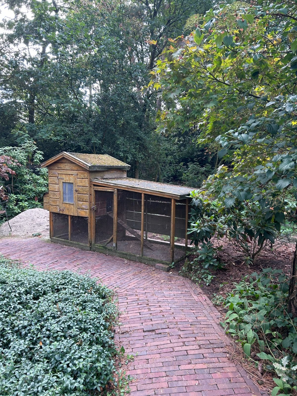 Oud kippenhok, Dieren en Toebehoren, Pluimvee | Toebehoren, Ophalen