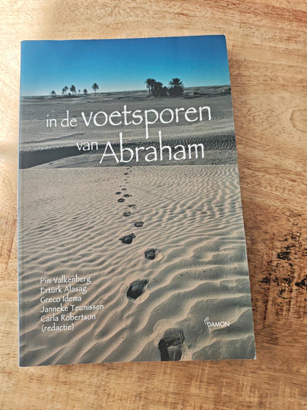 In de voetsporen van Abraham - Religieus boek, Boeken, Ophalen of Verzenden, Gelezen, Christendom | Katholiek