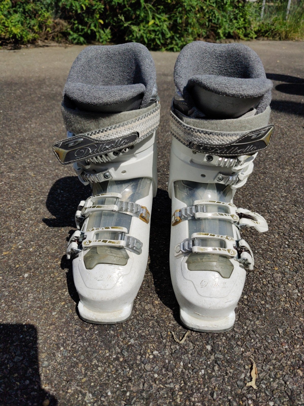 Skischoenen Dalbello, maat 39, Sport en Fitness, Skiën en Langlaufen, 160 tot 180 cm, Gebruikt, Schoenen, Skiën