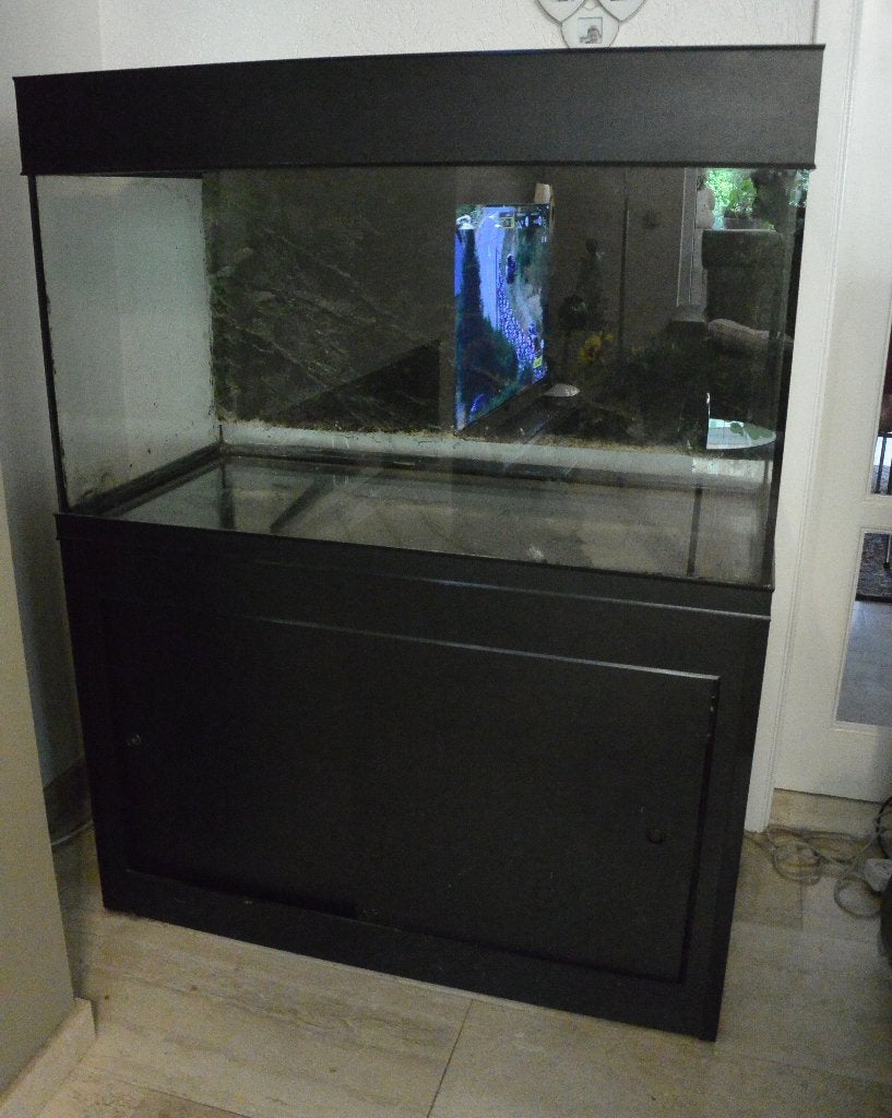 aquarium, Ophalen, Gebruikt, Overige merken, Inclusief vissen