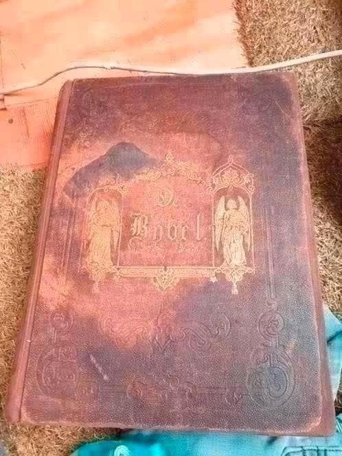 Antieke Bijbel uit 1880 met 40 staalplaten, Antiek en Kunst, Ophalen of Verzenden, Onbekend