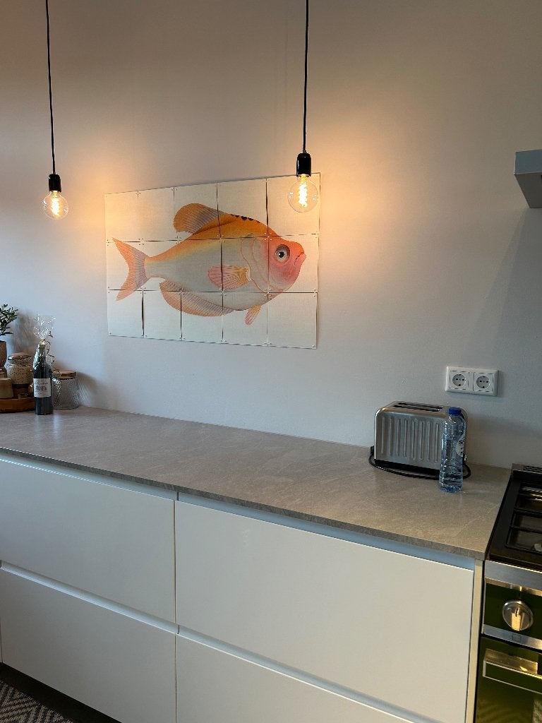 Ixxi vis roze oranje, Ophalen, Gebruikt, Wandhanger, 60 cm