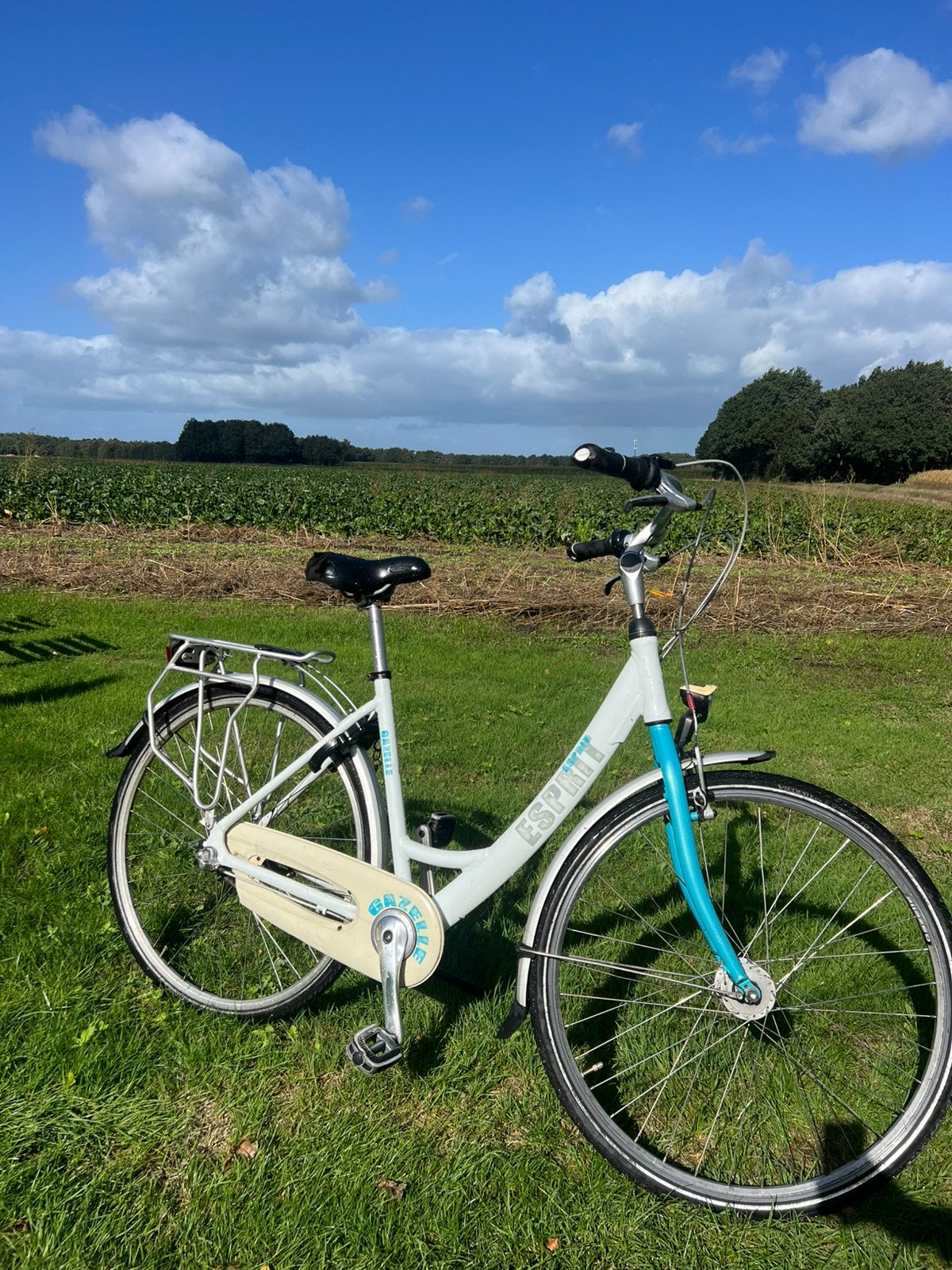 Gazelle Esprit damesfiets 28 inch, Ophalen, Gebruikt, Versnellingen, Schijfrem