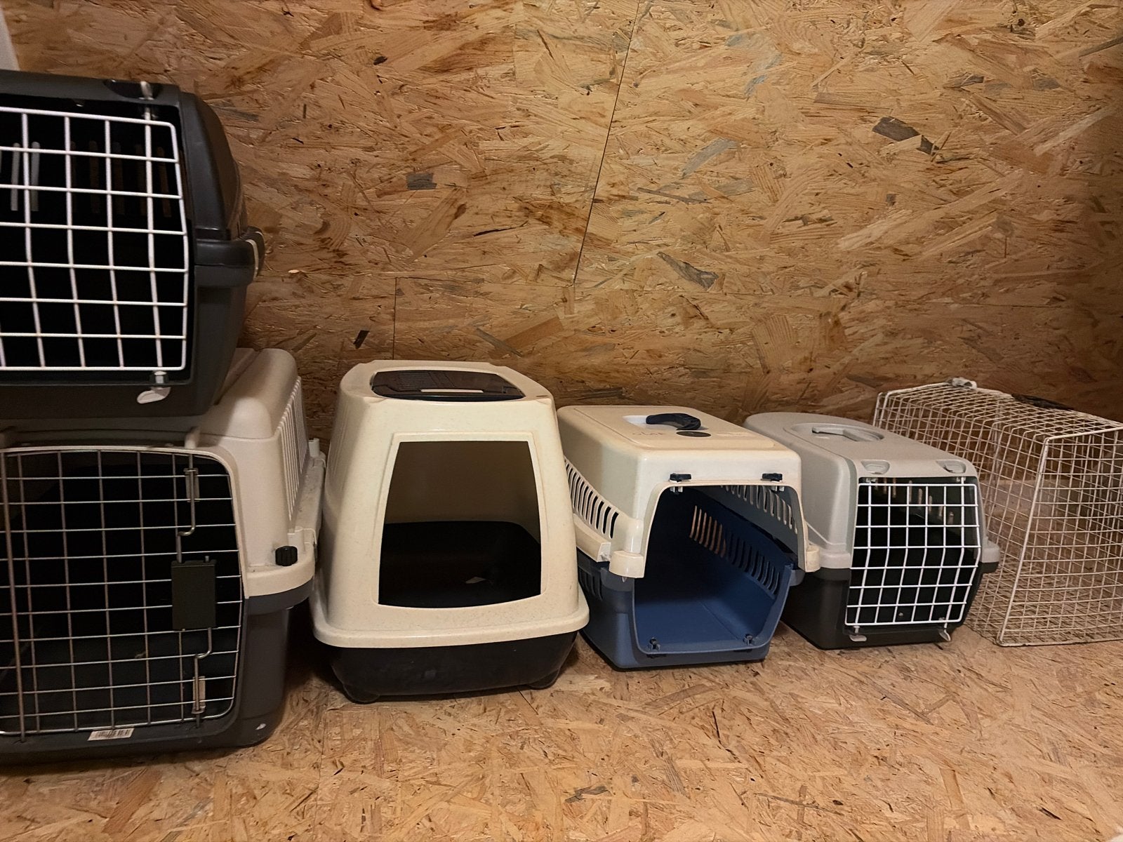 Meerdere katten transport, Dieren en Toebehoren, Ophalen, Zo goed als nieuw