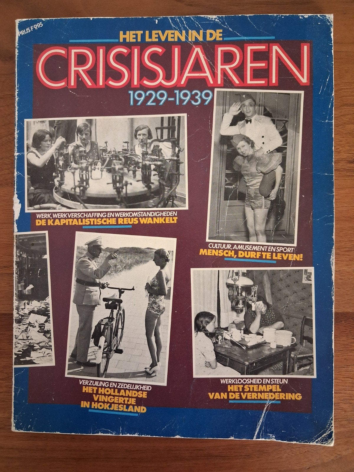 Het Leven in de Crisisjaren 1929-1939 - Historisch Album, Ophalen of Verzenden, 20e eeuw of later, Gelezen, Anita Fokkema, Reijer Blankenspoor, Flip Bool e.a.
