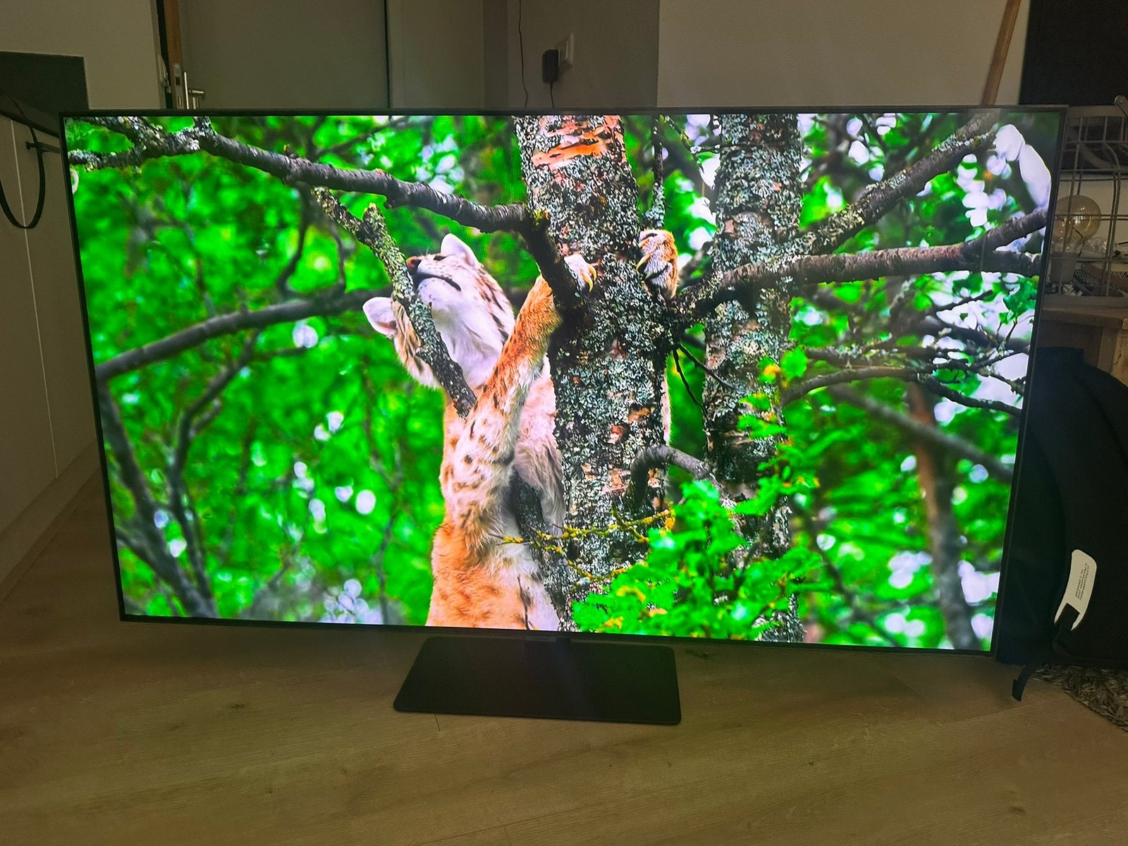 QLED Samsung Smart TV - 65 inch, Ophalen, Zo goed als nieuw, 100 Hz, Samsung