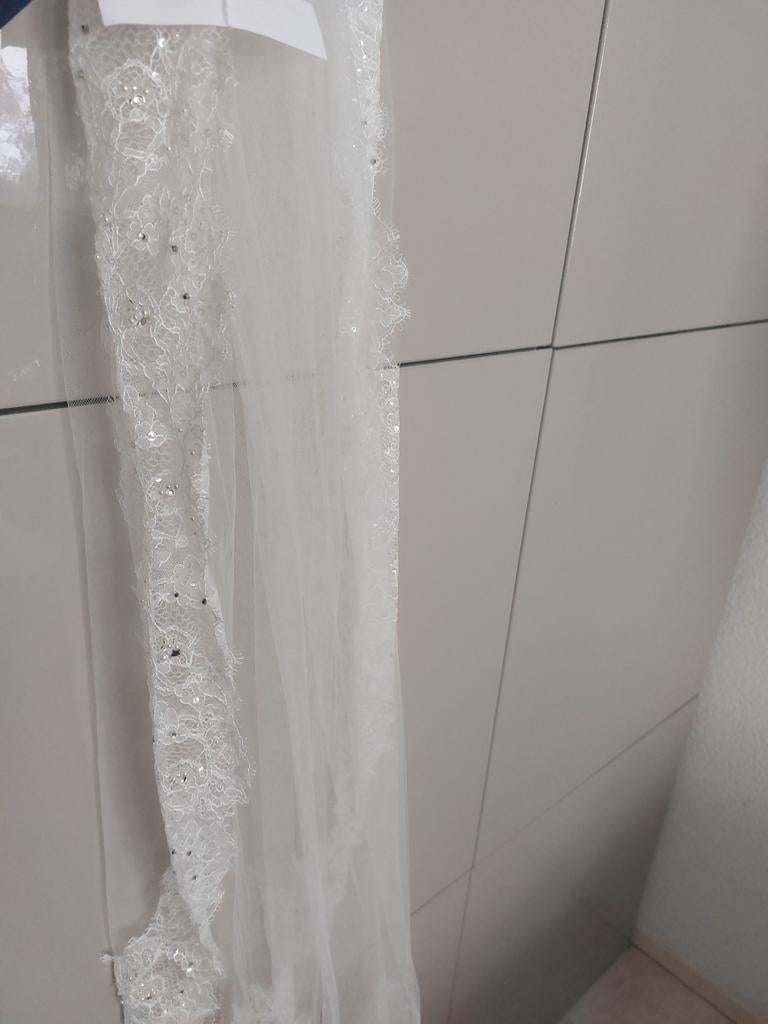 Nieuwe sluier, Ophalen of Verzenden, Nieuw, Wit, Accessoires