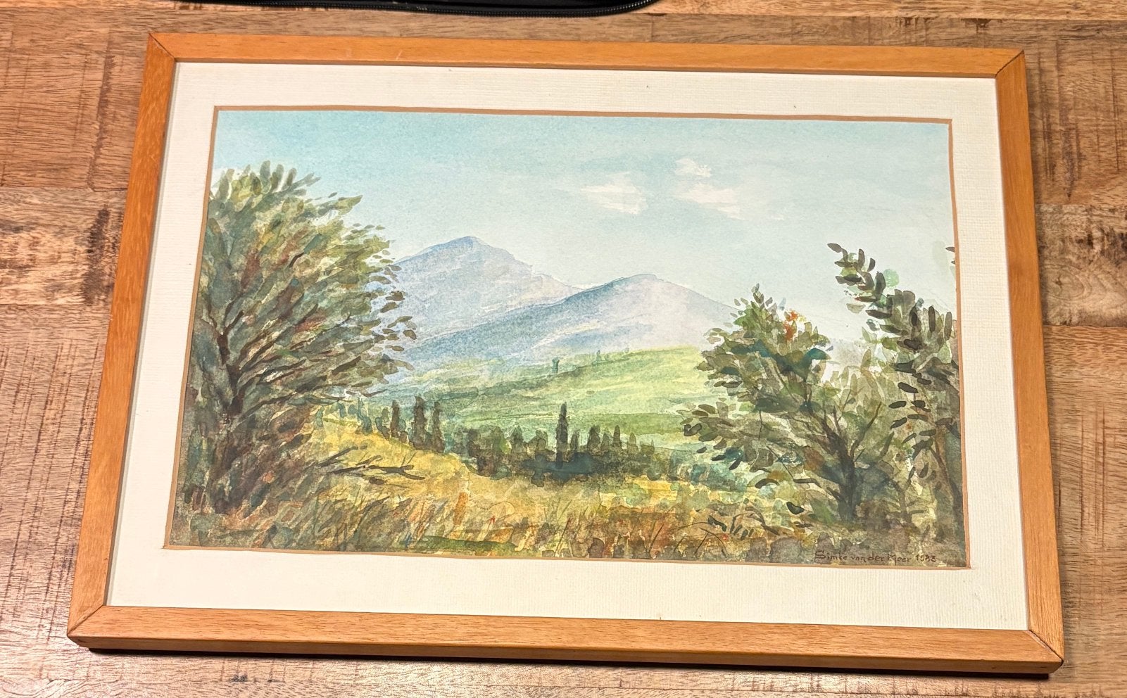 Aquarel Landschap van Simke van der Meer (1983), Ophalen, Gedateerd, Realistisch, Landschap