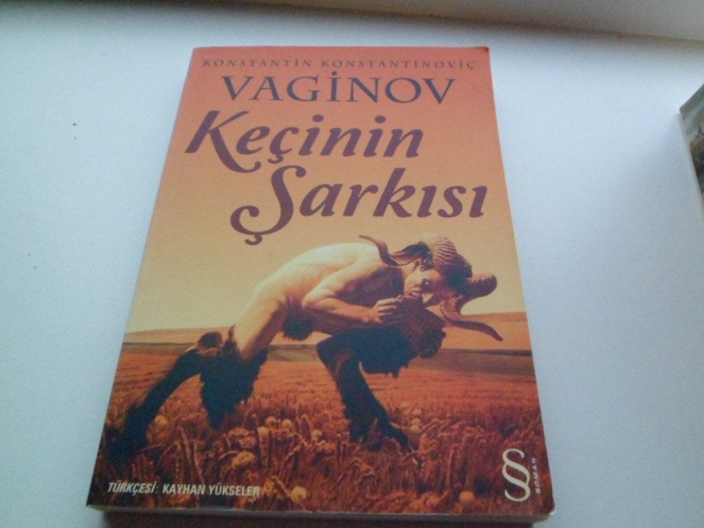 Kecinin Sarkisi - K. Vaginov ( Turkse uitgave ), Ophalen of Verzenden, Zo goed als nieuw