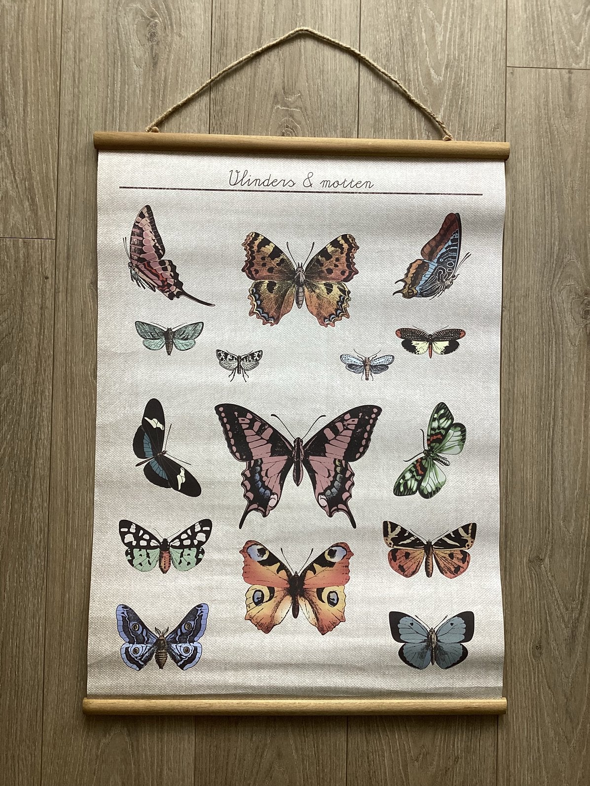Poster vlinders en motten vintage look 50 x 70 cm Xenos, Huis en Inrichting, Woonaccessoires | Wanddecoraties, Wandhanger, Papier/karton