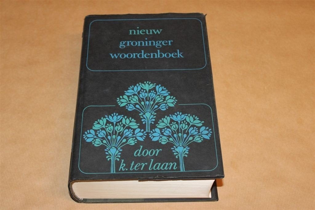 Nieuw Groninger Woordenboek - K. ter Laan - 1983, Ophalen of Verzenden, Zo goed als nieuw