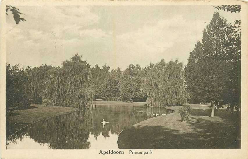 300-479-017 Apeldoorn Prinsenpark, Ophalen of Verzenden, Voor 1920, Gelderland