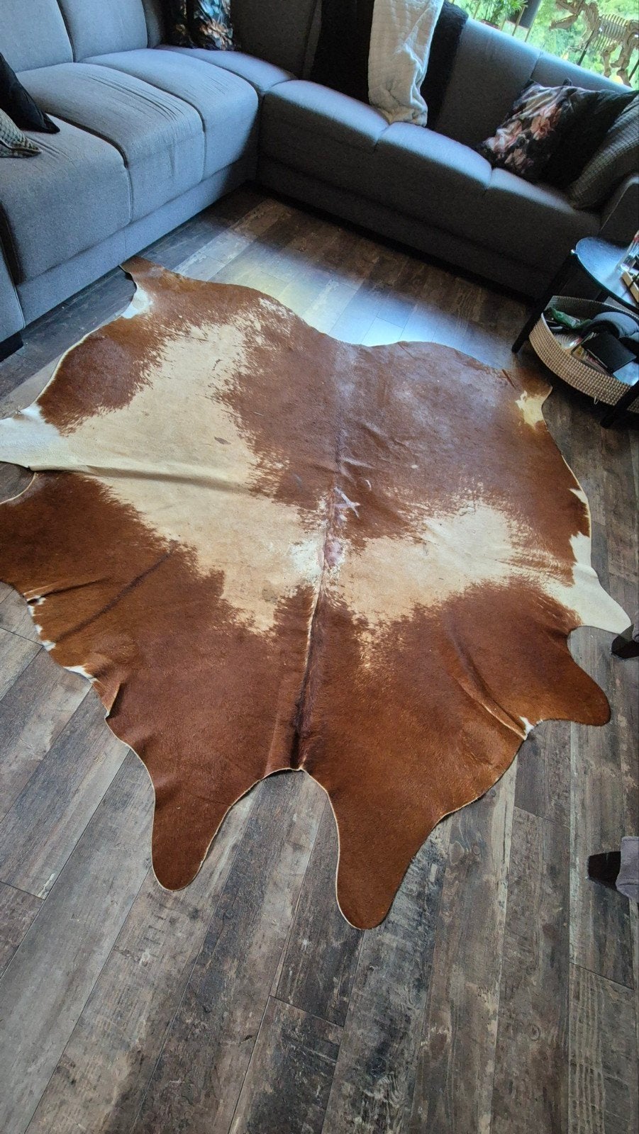 Prachtig bruin-wit koeienhuid vloerkleed, Huis en Inrichting, Ophalen, 150 tot 200 cm, 200 cm of meer, Landelijke, Bohemian