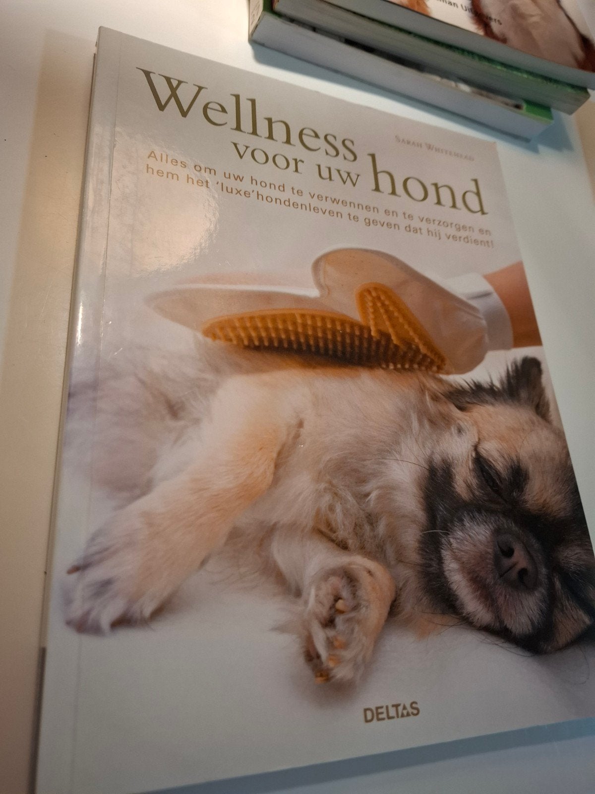 Wellness voor uw hond - Alles voor een luxe hondenleven, Ophalen of Verzenden, Gelezen, Honden, Sarah Whitehead