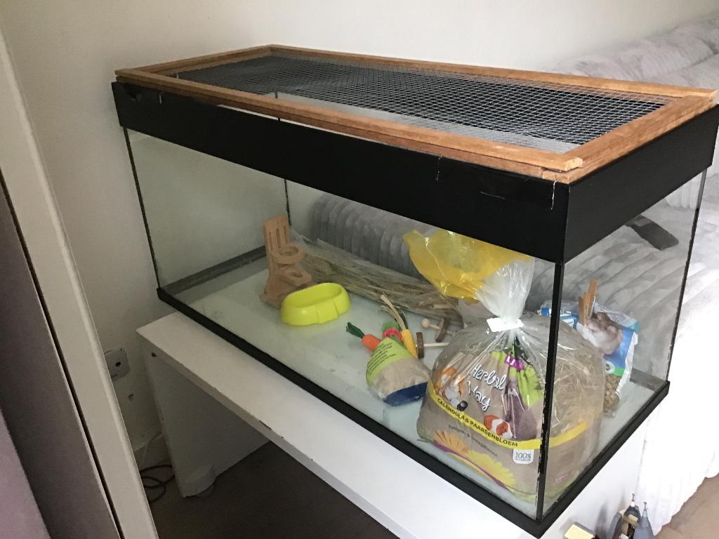 Terrarium of Hamster hok 100x40x49 cm met toebehoren, Gebruikt, 75 tot 110 cm, Ophalen, Minder dan 60 cm