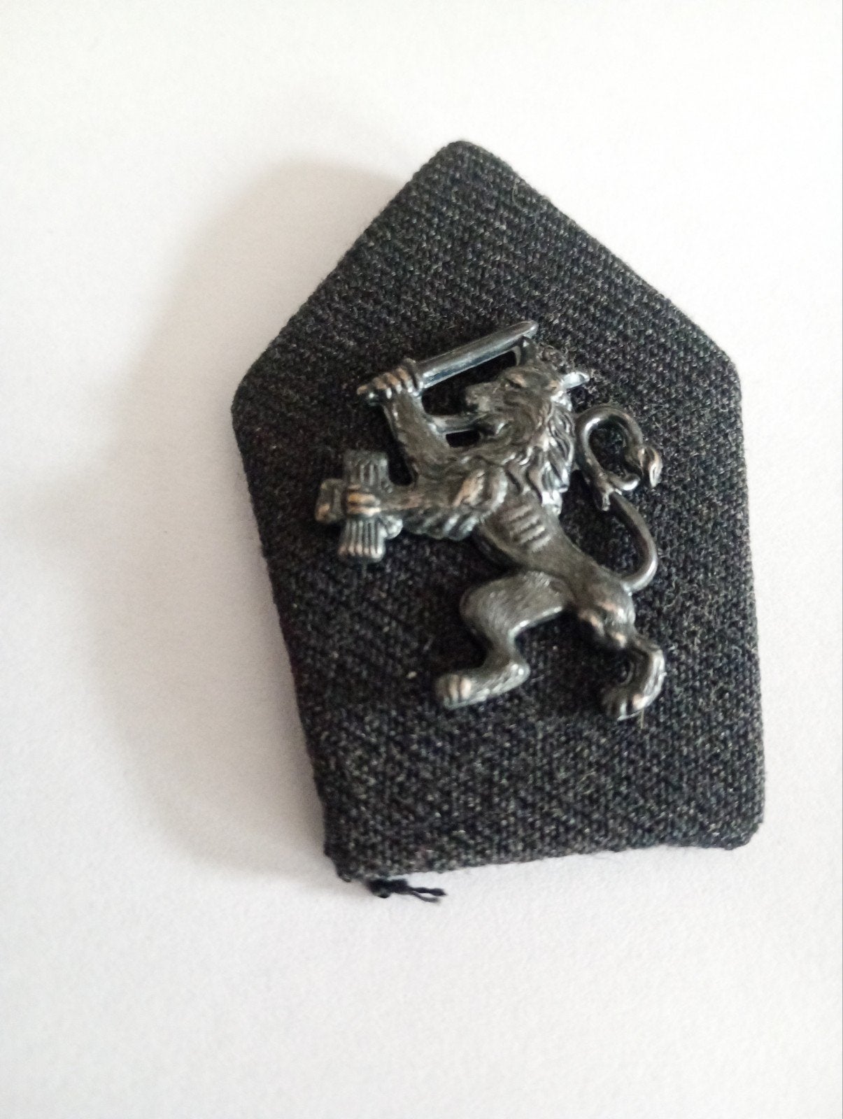 Staats politie Schalkhaar embleem., Verzamelen, ., Ophalen of Verzenden, ., Nederland
