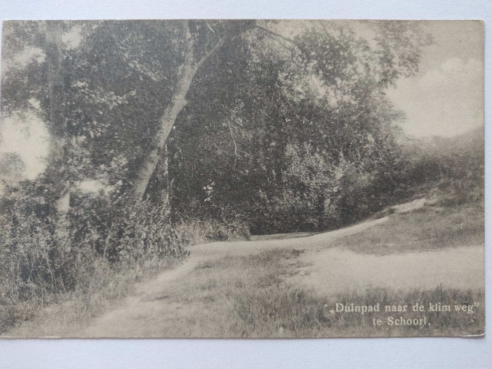 c2489 schoorl, Ophalen of Verzenden, 1920 tot 1940, Noord-Holland