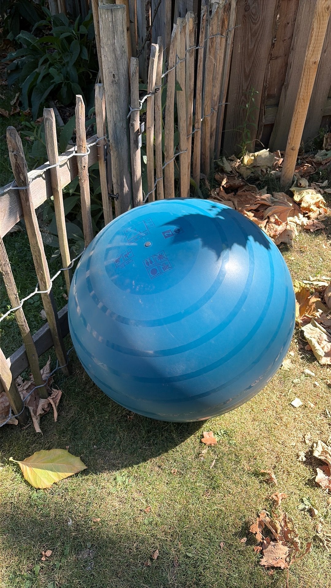 Bal, Ophalen, Zo goed als nieuw, Yoga-accessoire