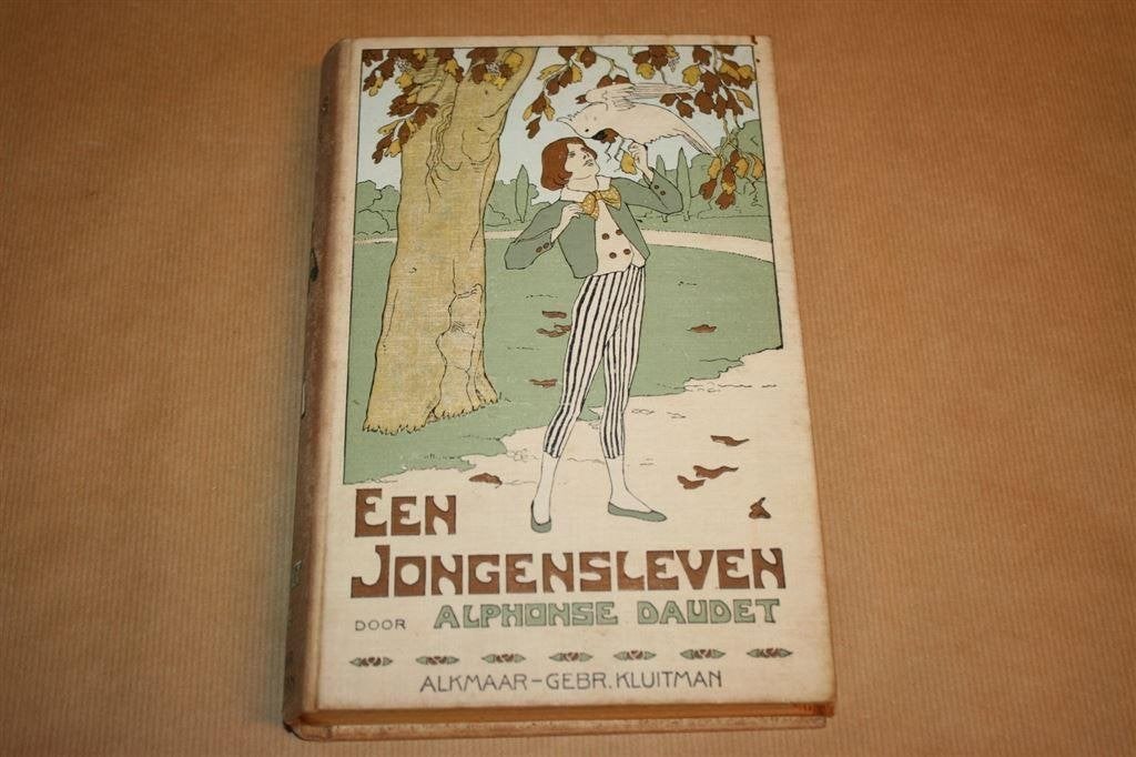 Een jongensleven. Alphonse Daudet. Uitg. Kluitman 1919., Boeken, Ophalen of Verzenden, Gelezen