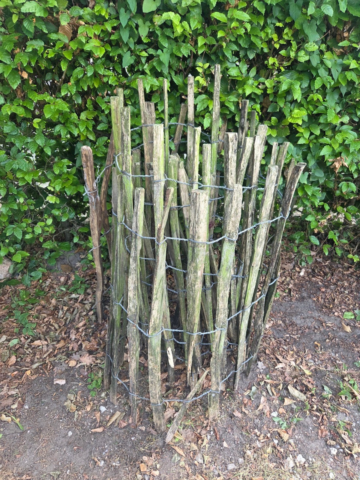 Schakenhek - 4 à 5 meter - Gebruikt, Ophalen, Gebruikt, Hout, Tuinhek